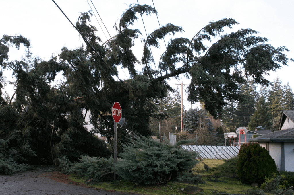 Articolo-Immobili-e-Catastrofali-Assitech-4-1024x680