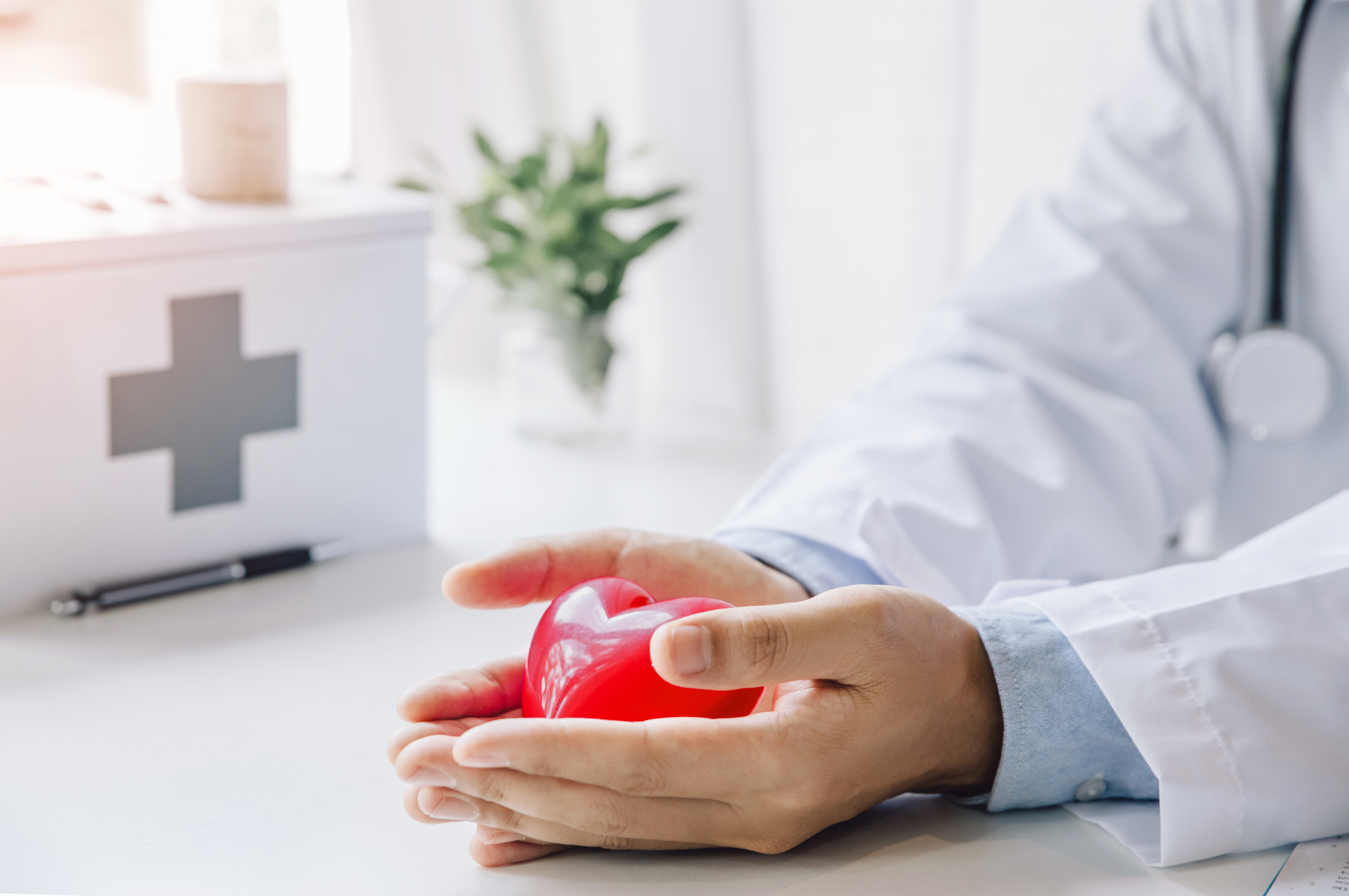 Scopri di più sull'articolo Guida all’Assicurazione Sanitaria